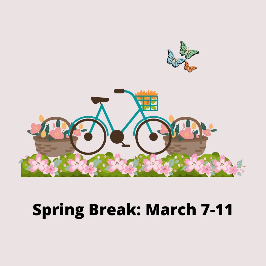 [Opinion] Spring Break - Fun activity ideas