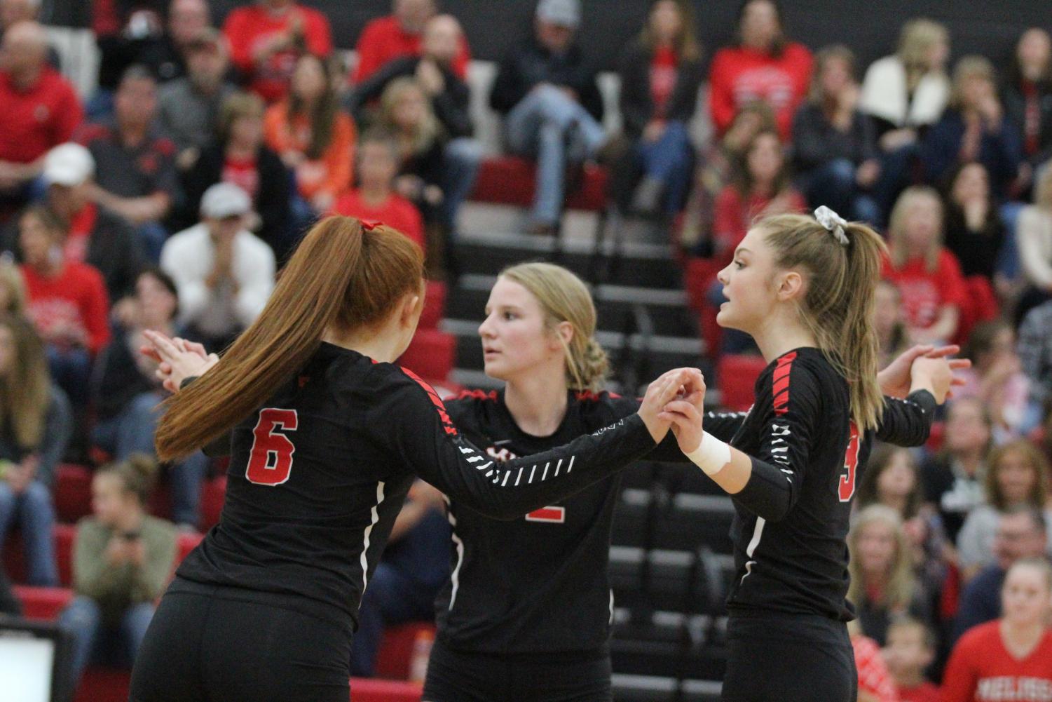 Photo gallery: First volleyball playoff game – Cardinal Connection