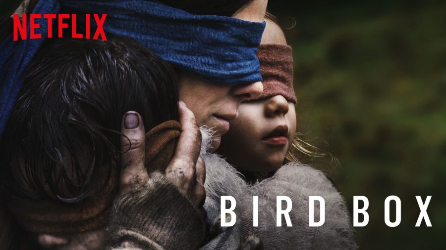 Birdbox sends heartwarming message to Netflix users