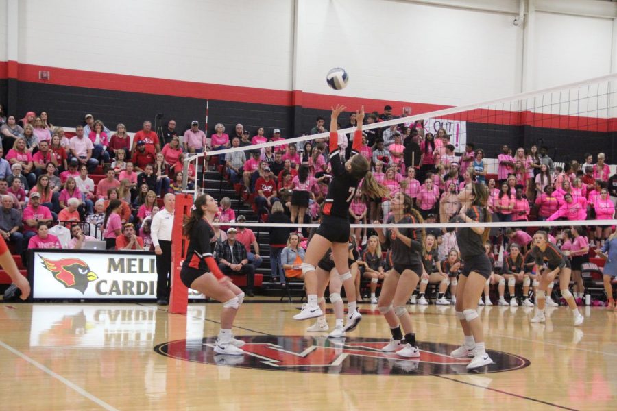 During+the+pink+out+game%2C+senior+Ella+Branson+sets+the+ball.