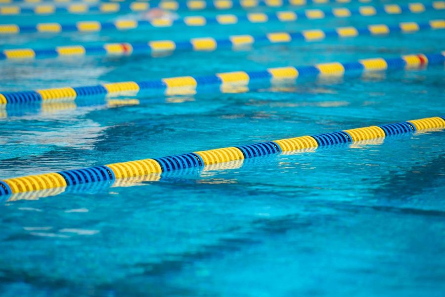 Just keep swimming: junior qualifies for regionals