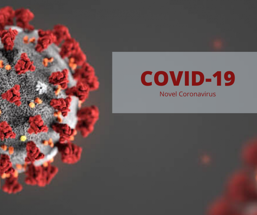 Coronavirus pandemic sends US into panic
