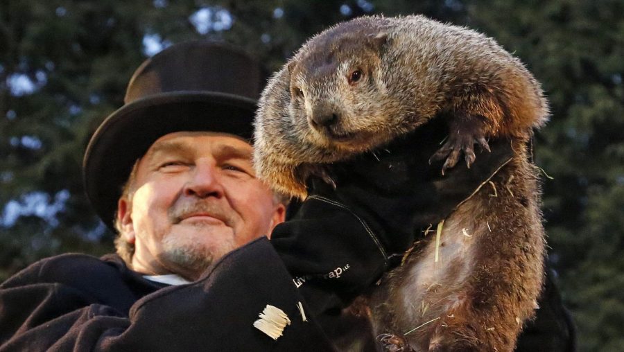 Groundhog predicts more winter weather