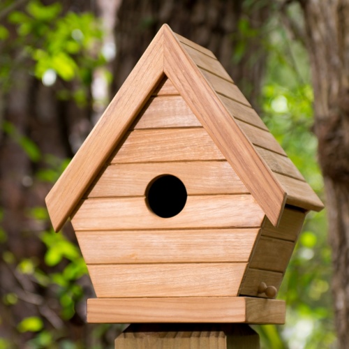 Environmental students build habitats for birds, bees, butterflies