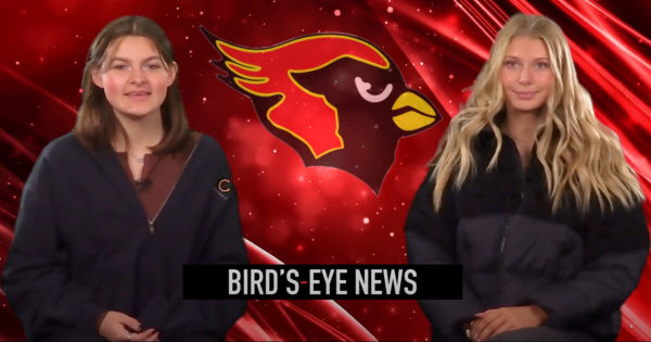 Birds Eye News - 11.2.23