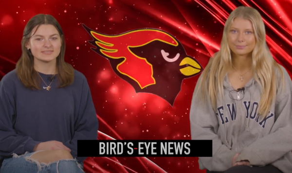 Birds Eye News - 3.4.24
