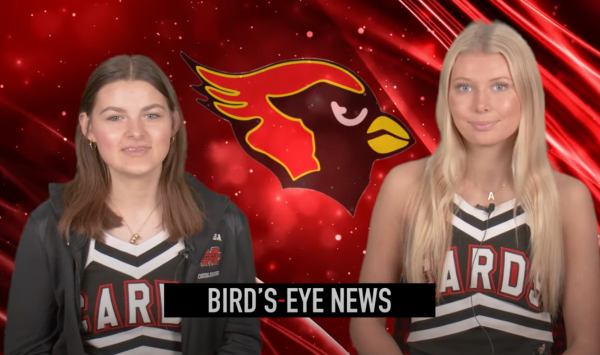 Birds Eye News - 4.15.24