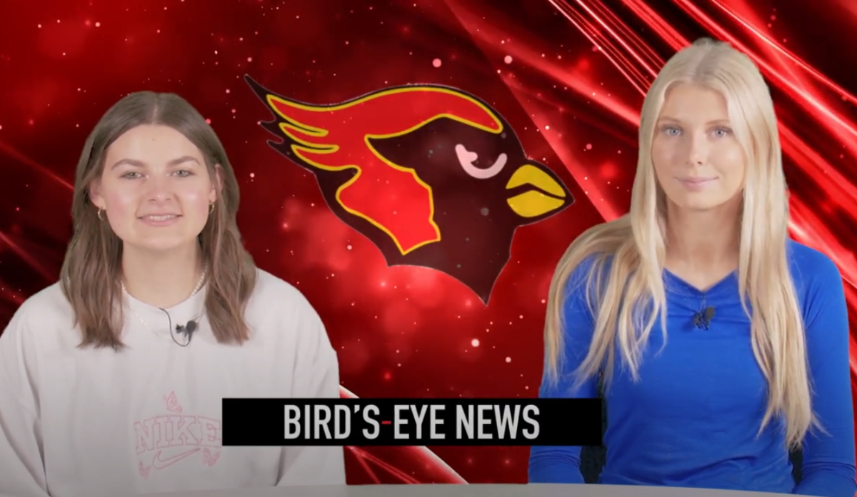 Birds Eye News - 4.29.24