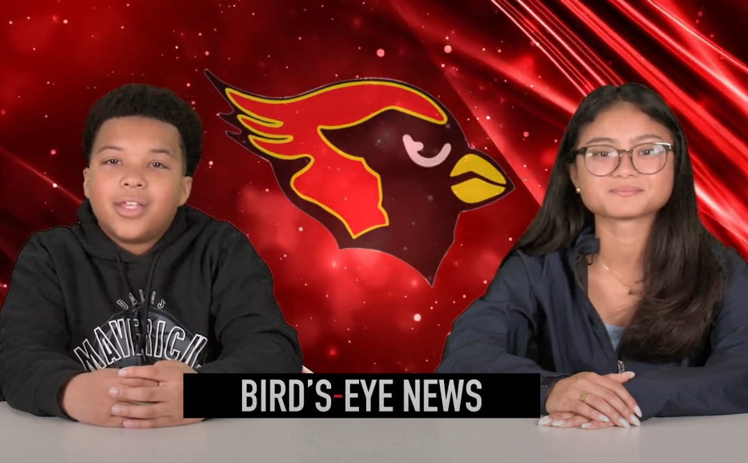 Birds Eye News - 5.23.24