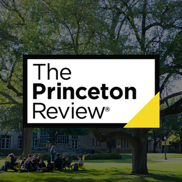 Counseling dept. offers free Princeton Review resources