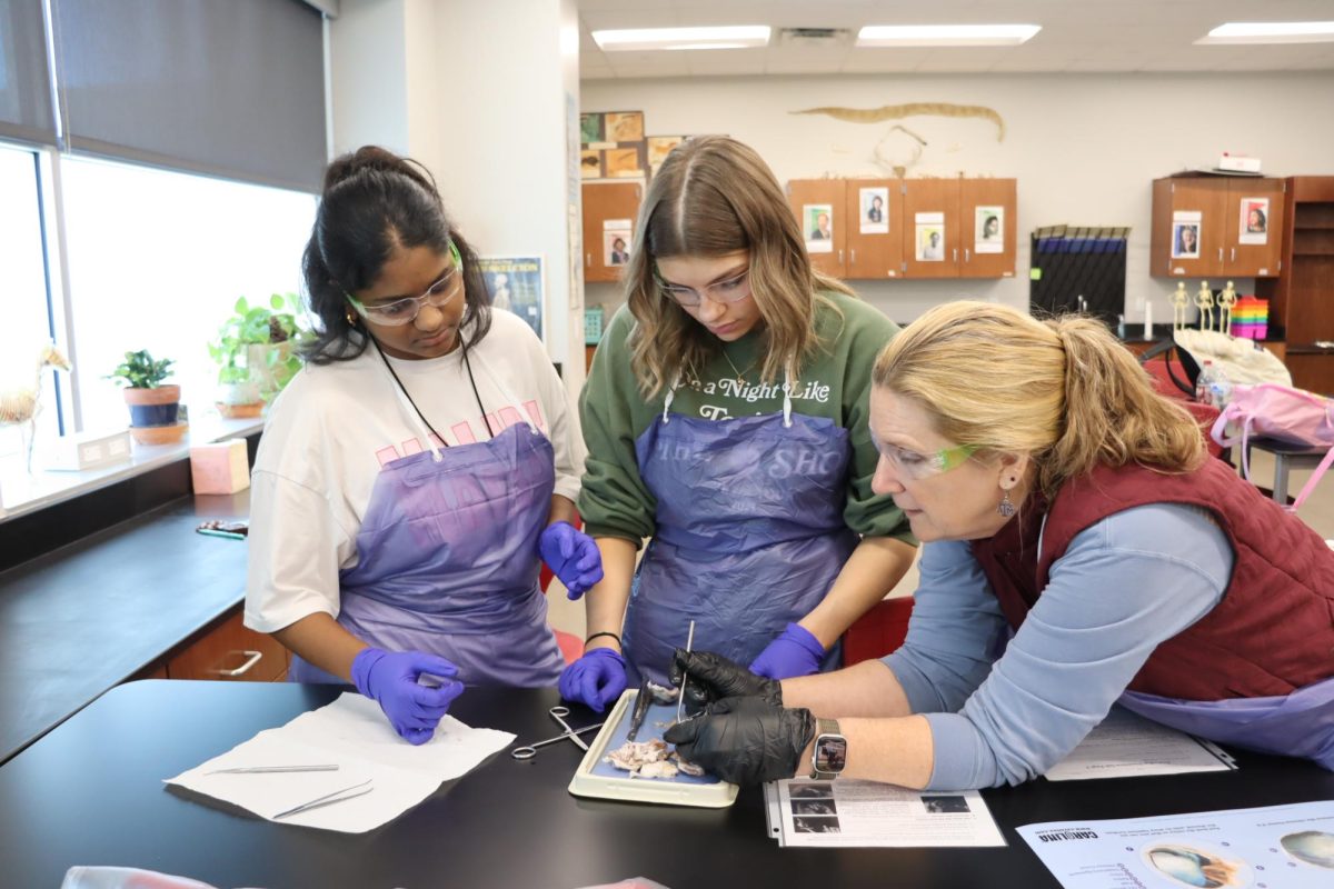 Students in one of Dr. Hower-Moritz's Anatomy & Physiology classes work through a dissection lab on Nov. 20.